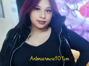 Antoniarouse101cm