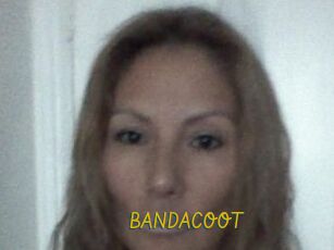 BANDACOOT