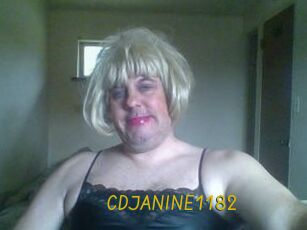 CDJANINE1182