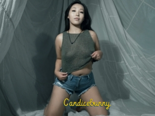 Candicebunny