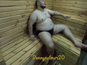 Dannypalmer20