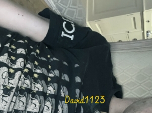 David1123