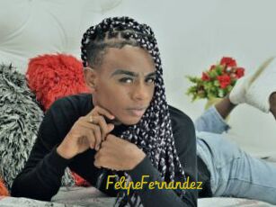 FelipeFernandez