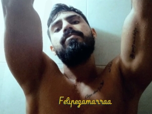 Felipegamarraa