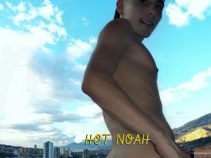 HOT_NOAH