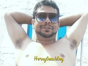 Hornybeachboy