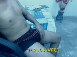 LUIGUISUMERS