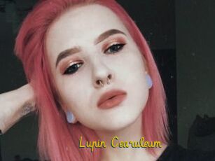 Lupin_Cearuleum