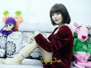 SandyJun