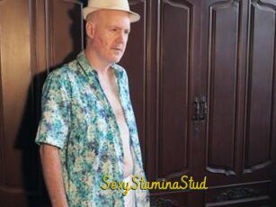 SexyStaminaStud Porno TV