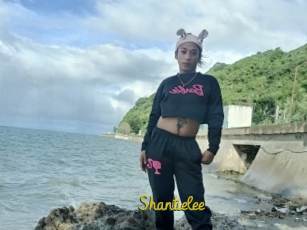 Shantielee