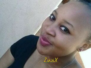 ZinziX